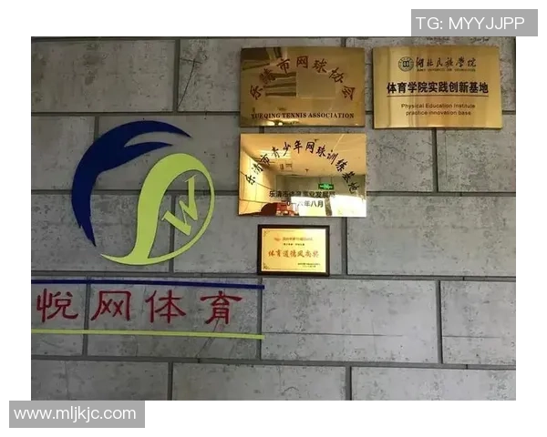 上海网球队进攻体系解析：网球战术的创新与实践探讨